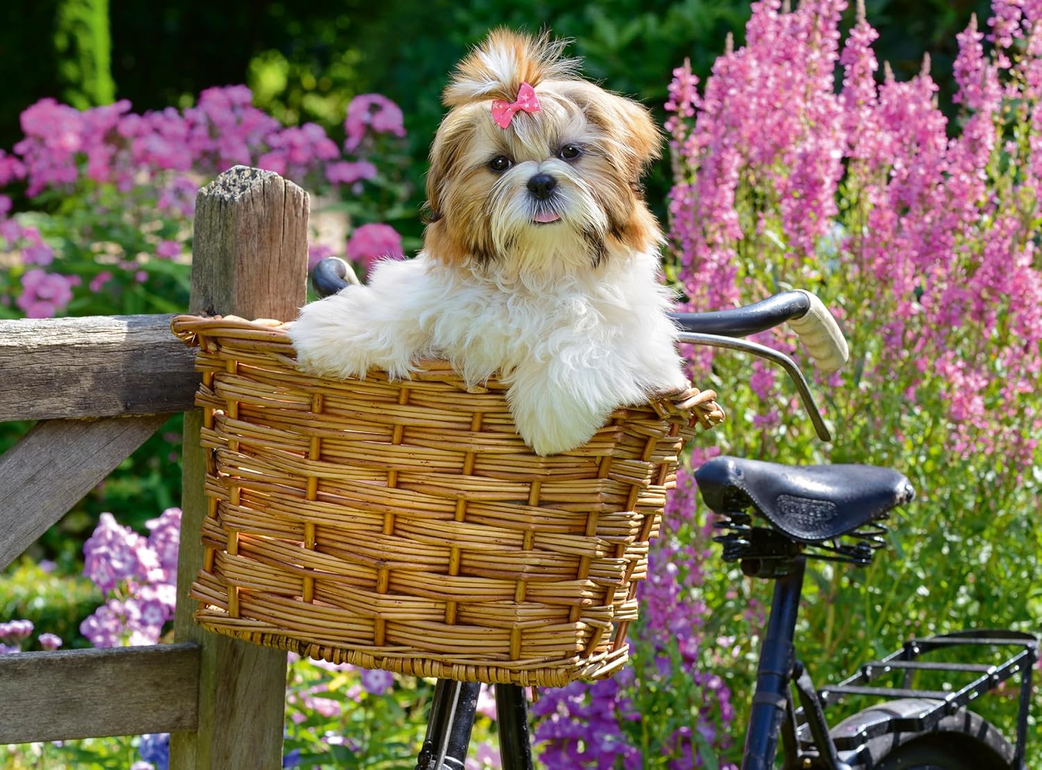 Sweet Little Dog 100 XL Piece Jigsaw Puzzle