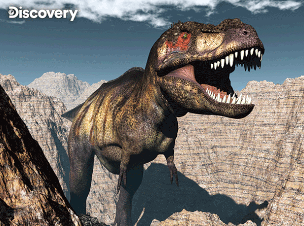 Prime 3D Discovery Tyrannosaurus Rex 100 Piece Jigsaw Puzzle