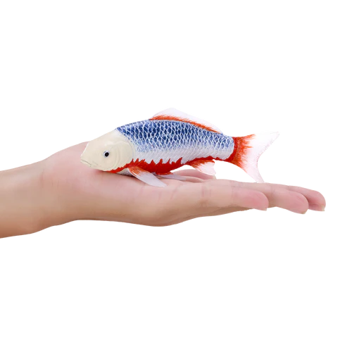 MOJO - Koi Carp - Asagi