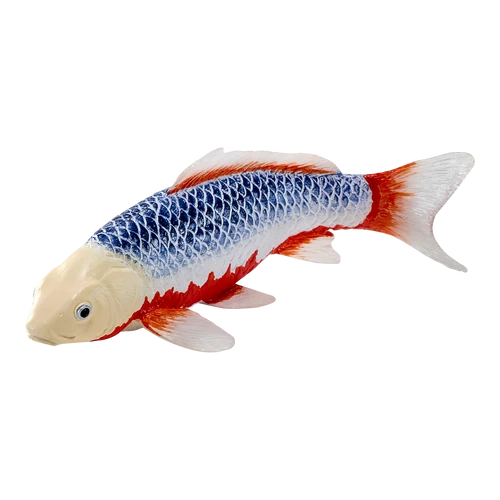 MOJO - Koi Carp - Asagi