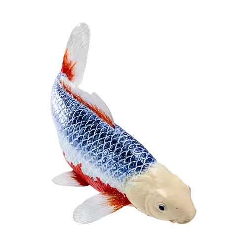 MOJO - Koi Carp - Asagi