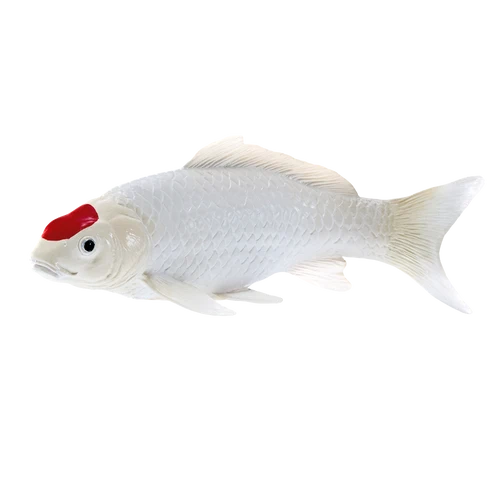 MOJO - Koi Carp - Tancho