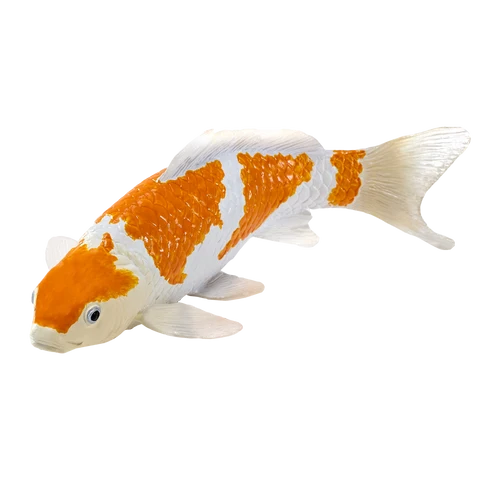MOJO - Koi Carp - Ochiba Shigure
