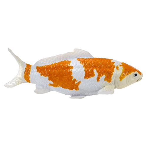 MOJO - Koi Carp - Ochiba Shigure