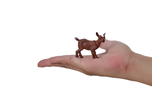 MOJO - Kid Goat