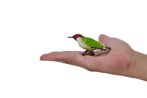 MOJO - Green Woodpecker