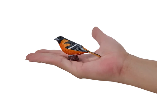 MOJO - Northern Oriole