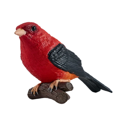 MOJO - Scarlet Tanager