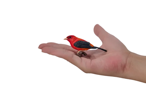 MOJO - Scarlet Tanager