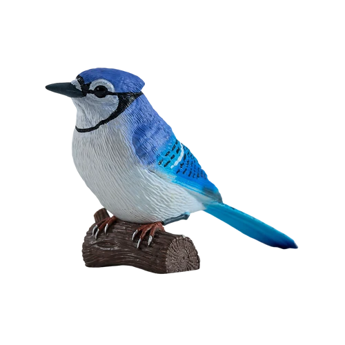 MOJO - BlueJay