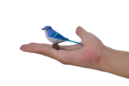 MOJO - BlueJay