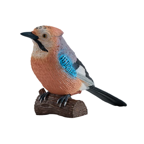 MOJO - European Jay
