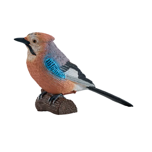 MOJO - European Jay
