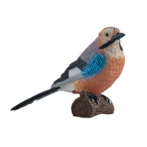 MOJO - European Jay