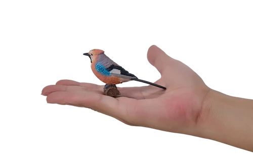 MOJO - European Jay