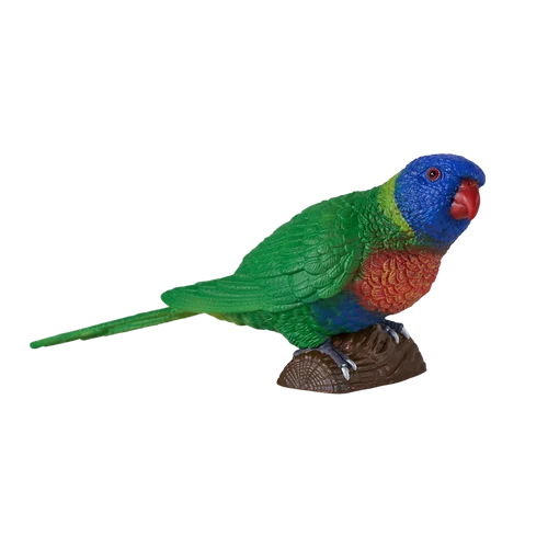 MOJO - Rainbow Lorikeet