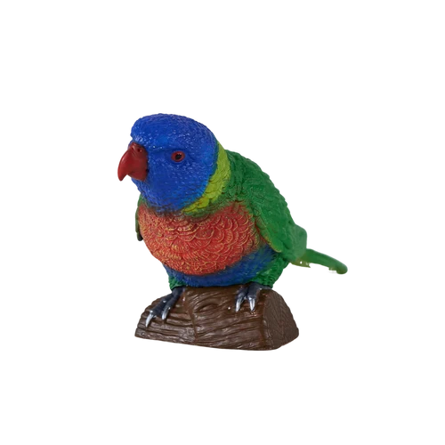 MOJO - Rainbow Lorikeet