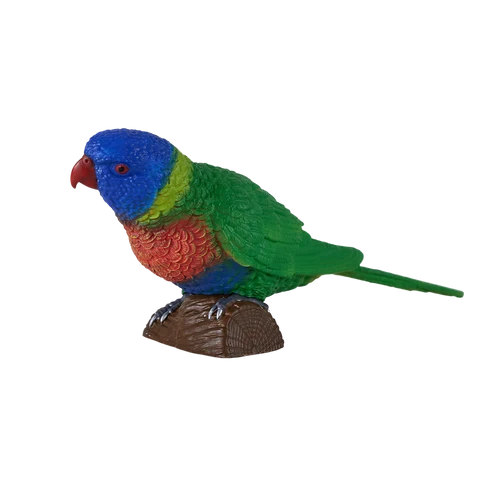 MOJO - Rainbow Lorikeet