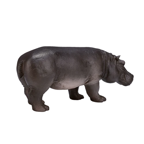 MOJO - Hippopotamus Female