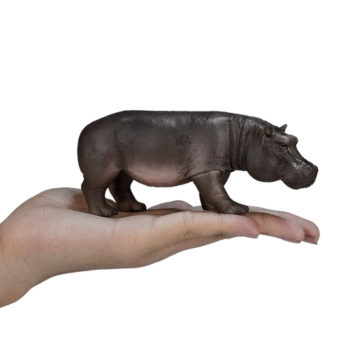 MOJO - Hippopotamus Female