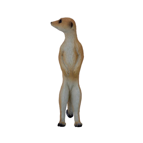 MOJO - Meercat