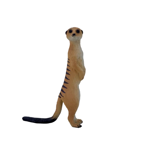MOJO - Meercat