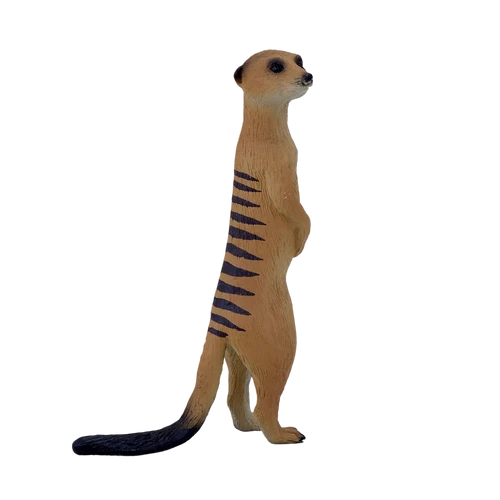 MOJO - Meercat