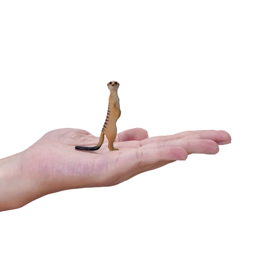 MOJO - Meercat