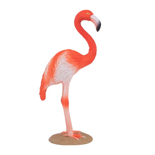 MOJO - American Flamingo