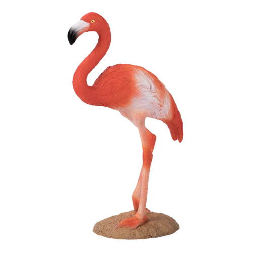 MOJO - American Flamingo