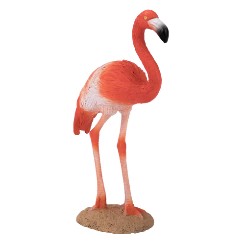 MOJO - American Flamingo