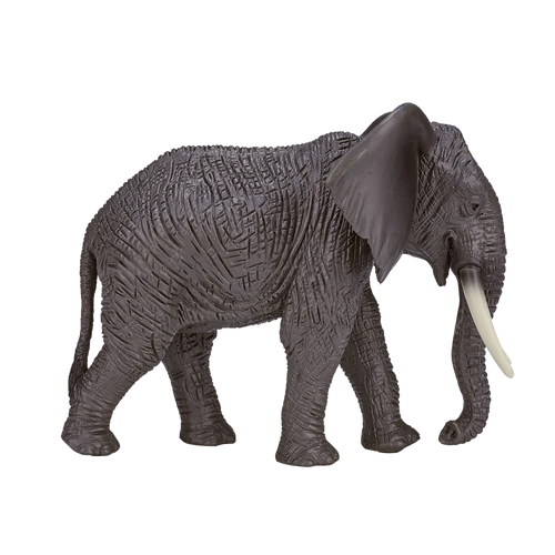 MOJO - African Elephant
