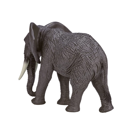 MOJO - African Elephant