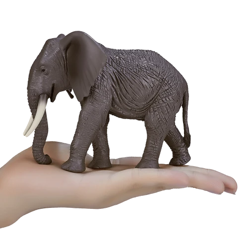 MOJO - African Elephant