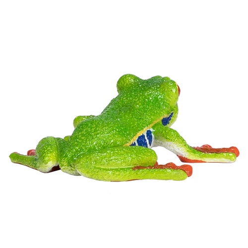MOJO - Red Eyed Tree Frog