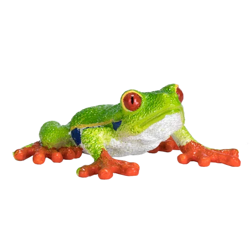 MOJO - Red Eyed Tree Frog