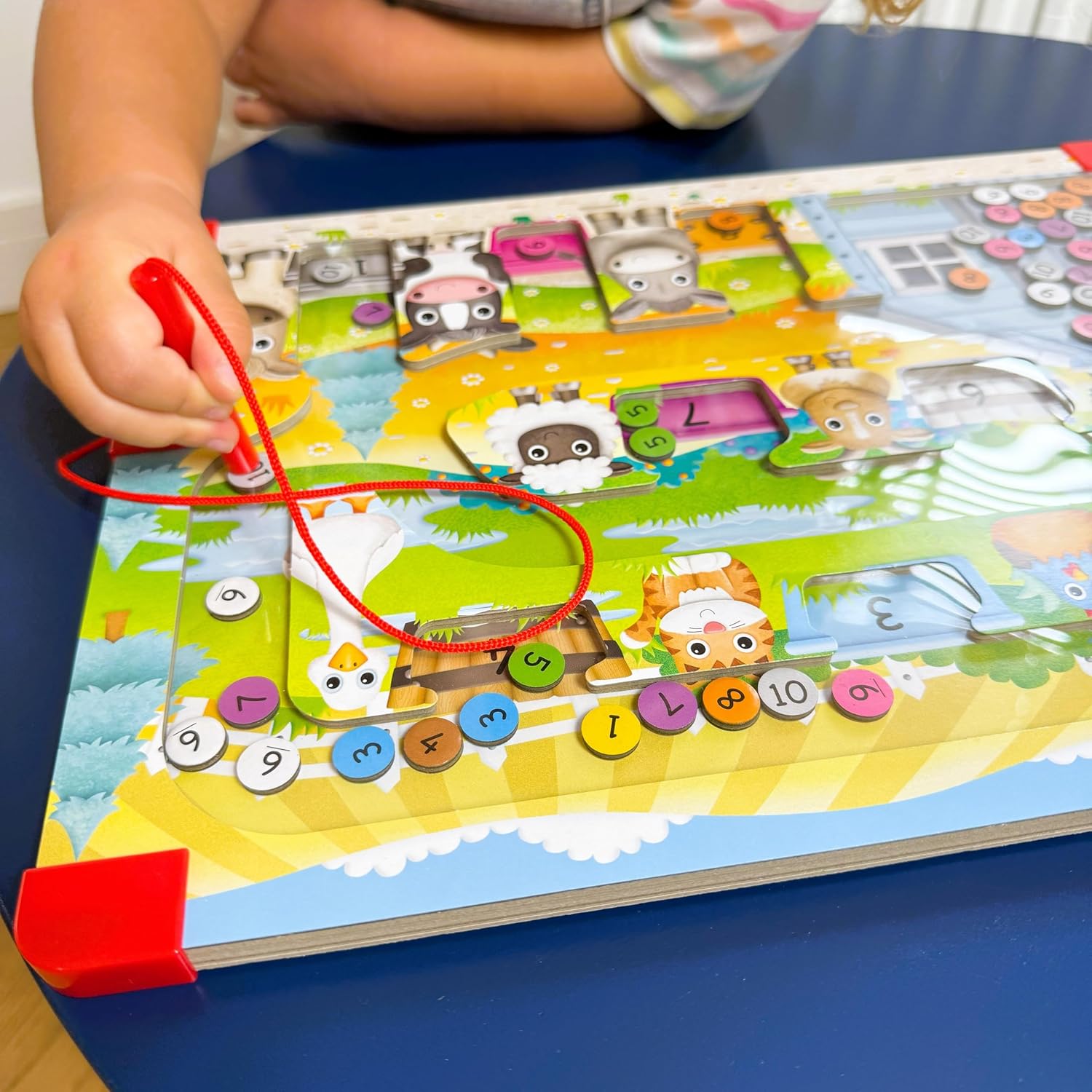 Sort & Learn Magnetic Puzzle