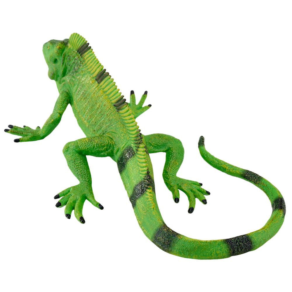 MOJO - Iguana