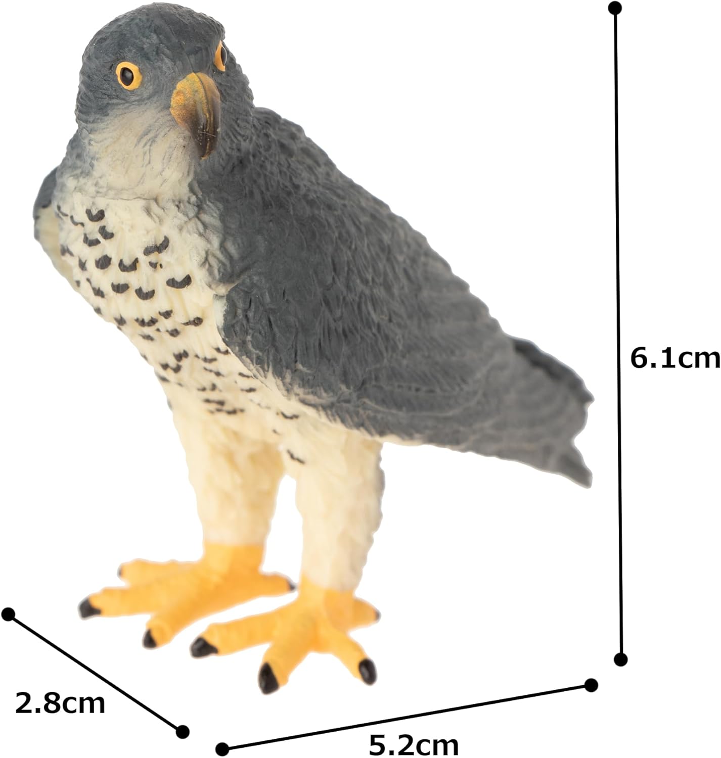 MOJO - Peregrine Falcon