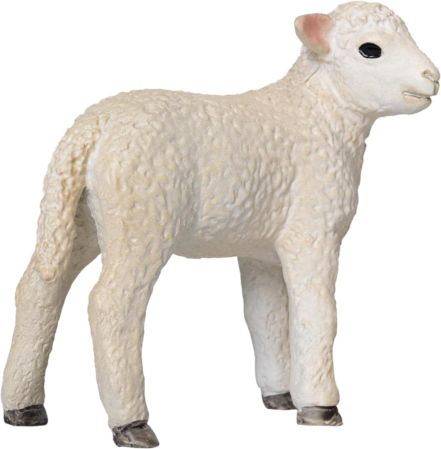 MOJO - Romney Lamb Standing