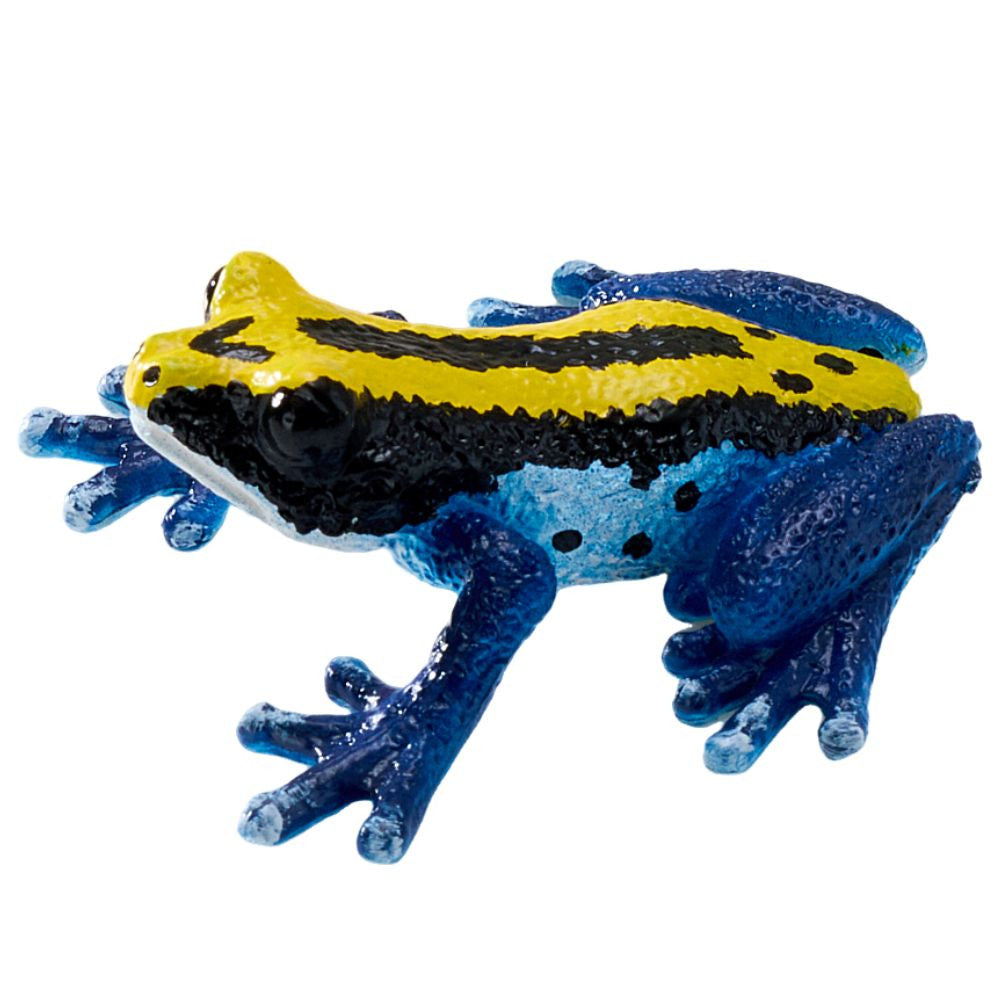 MOJO - Poison Dart Frog Blue