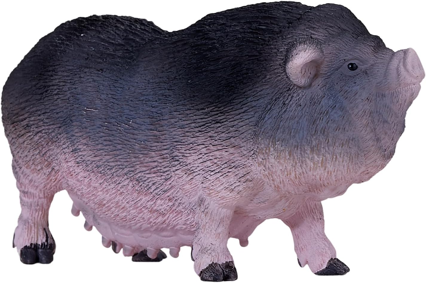 MOJO - Pot Bellied Pig