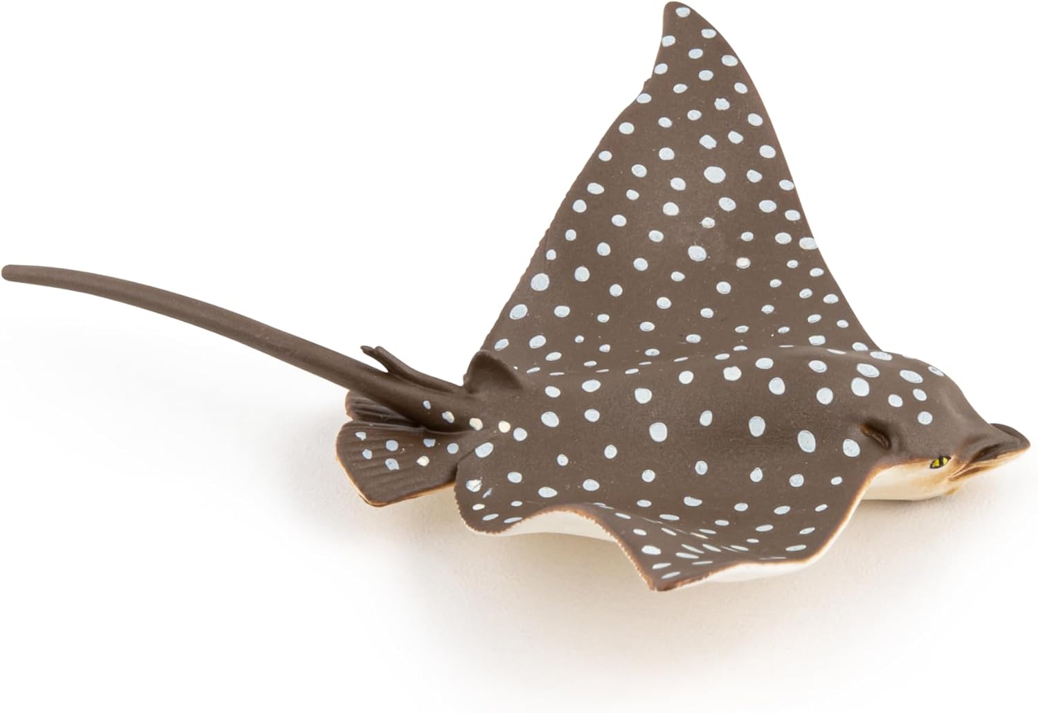 MOJO - Spotted Eagle Ray