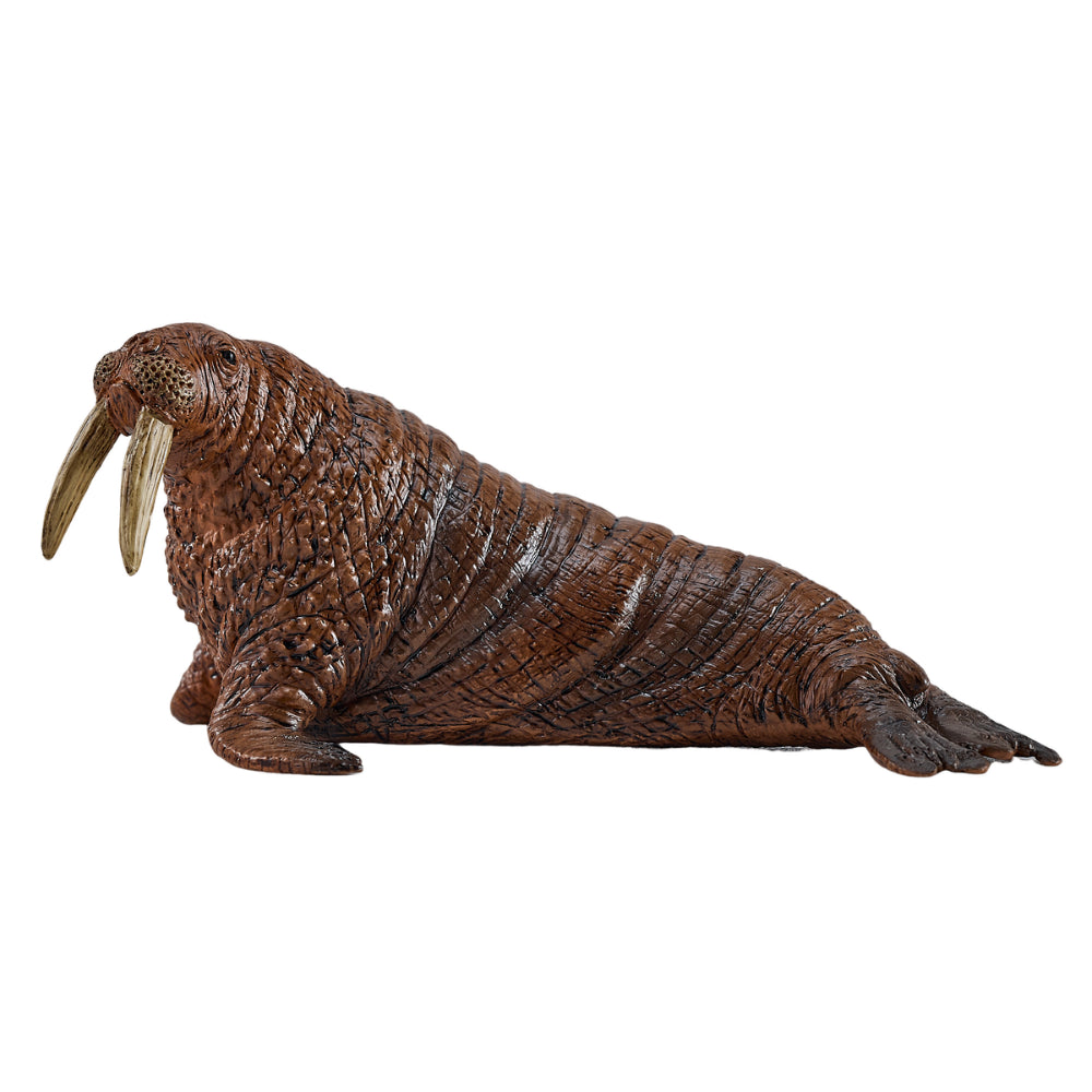 MOJO - Walrus