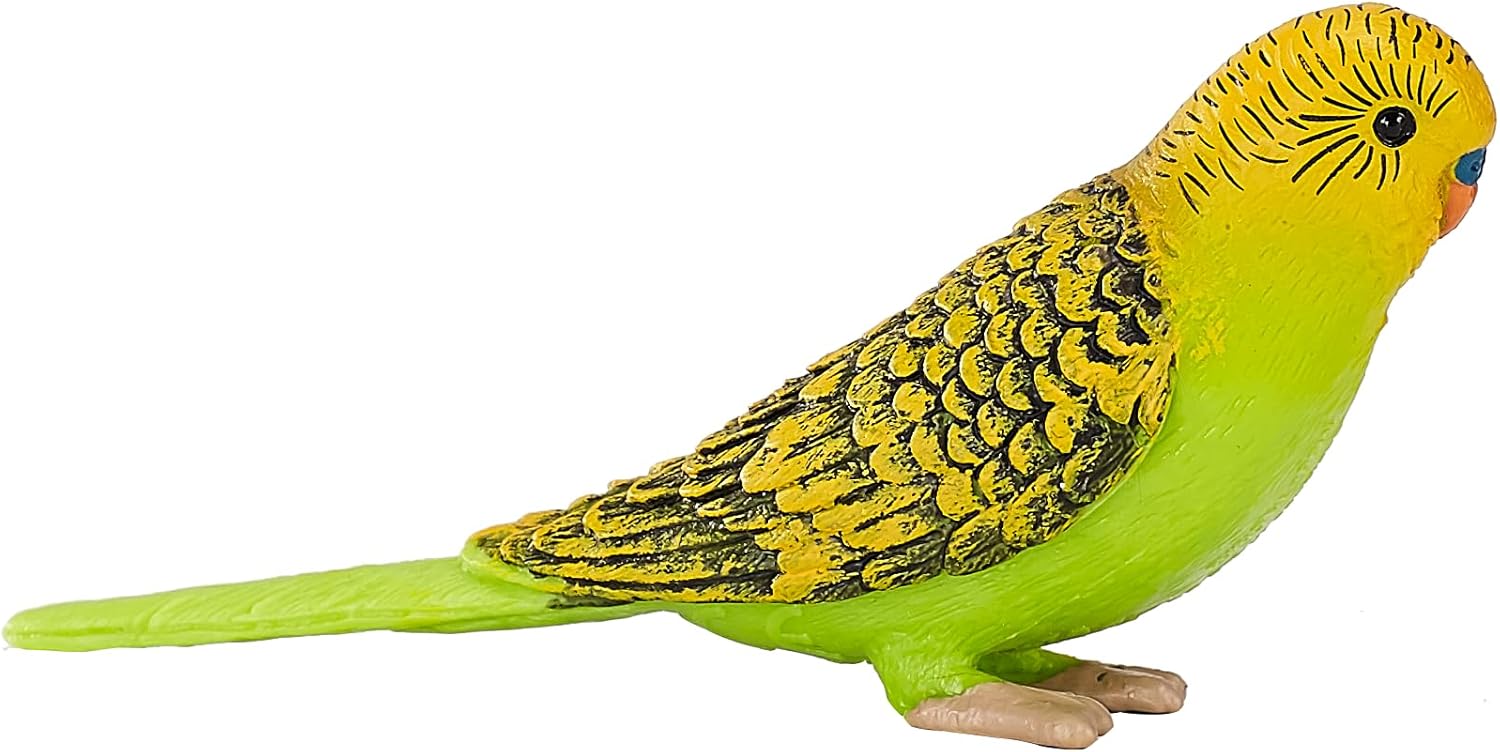 MOJO - Budgerigar Green