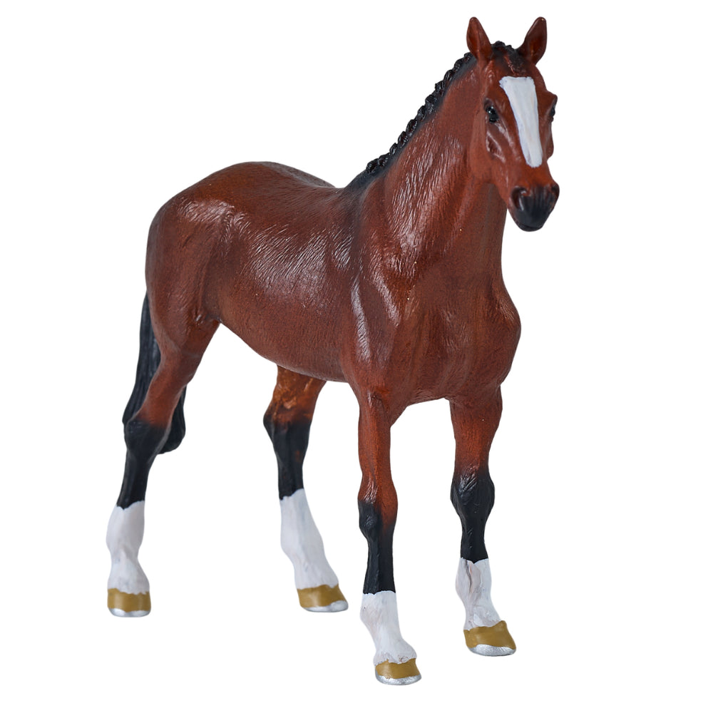 MOJO - Dutch Warmblood Horse