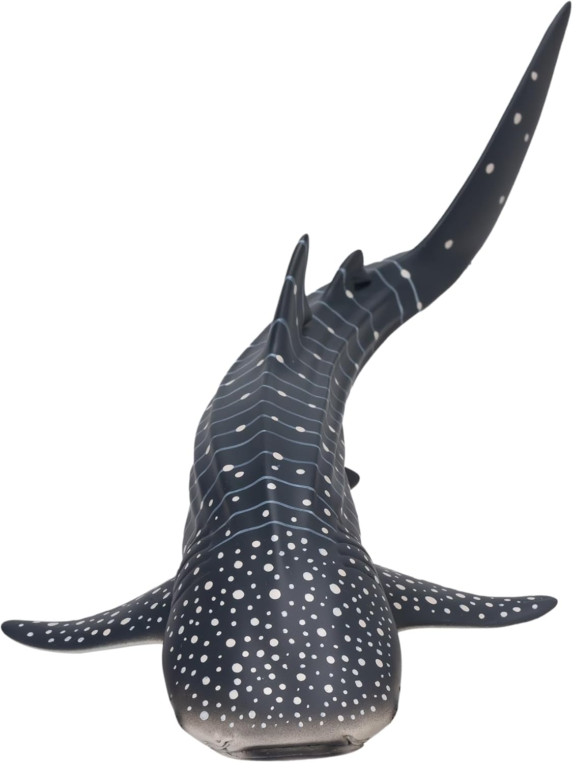 MOJO - Whale Shark