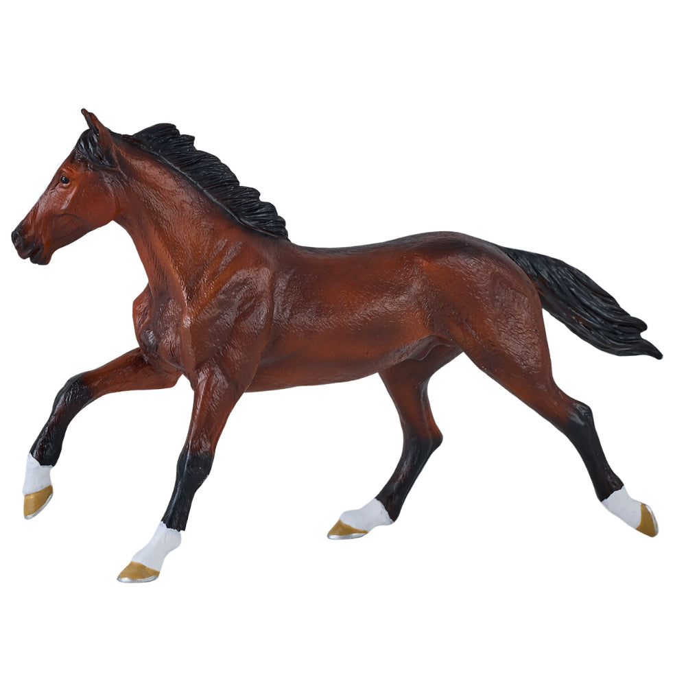 MOJO - Thoroughbred Horse