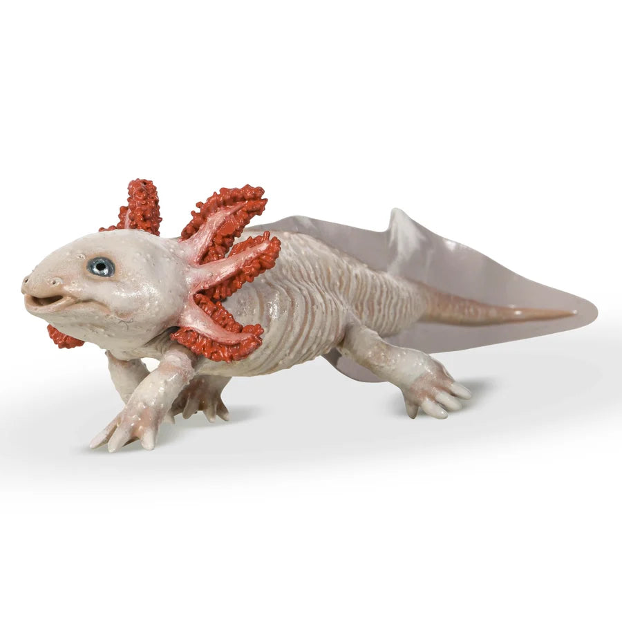 Papo Axolotl