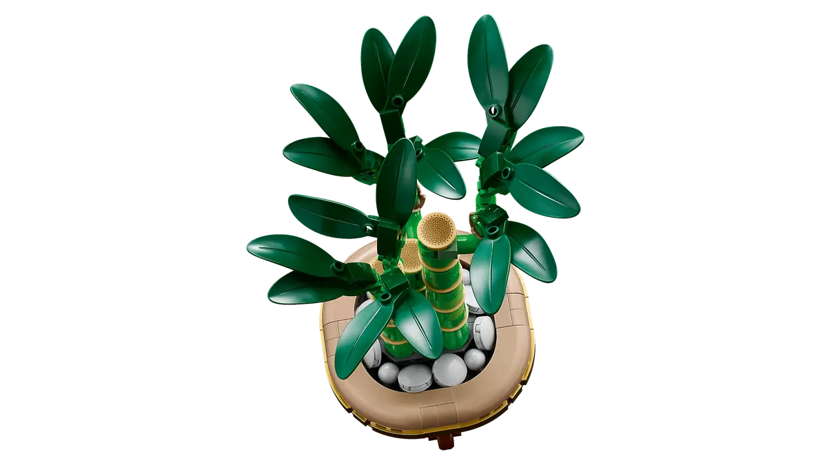 LEGO Botanical Collection 10344 Flowers Lucky Bamboo